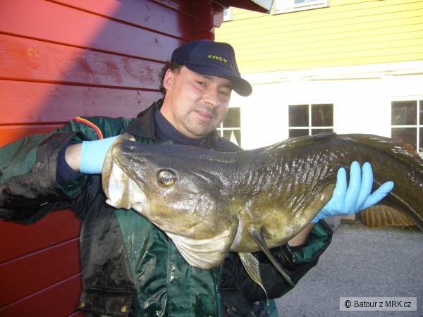 Hitra 2008 