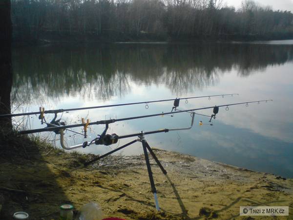 V�bava