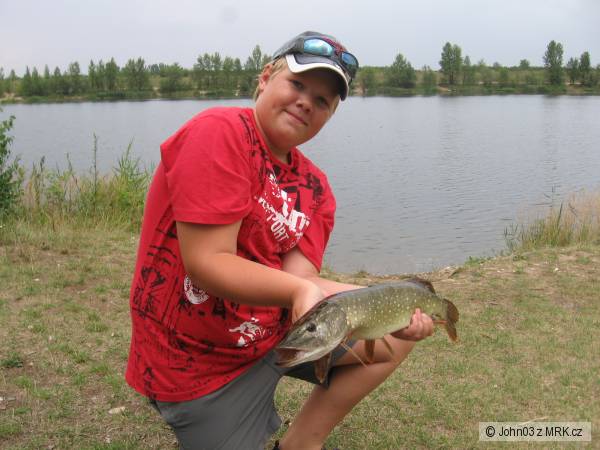 Vojkovick� �tika o d�lce 60 cm