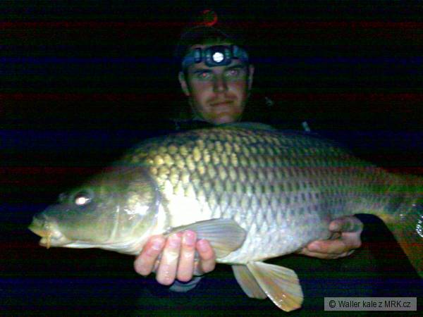 No�n� ebro