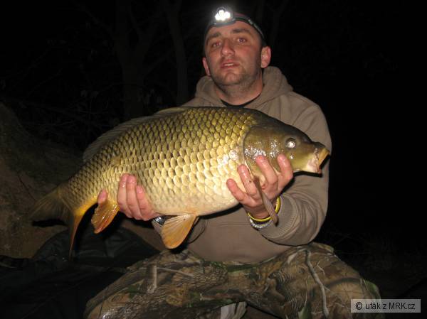 69 cm ,7 kg rev�r Roudnice