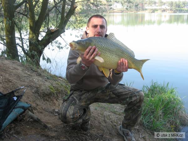 75 cm ,8 kg rev�r Roudnice