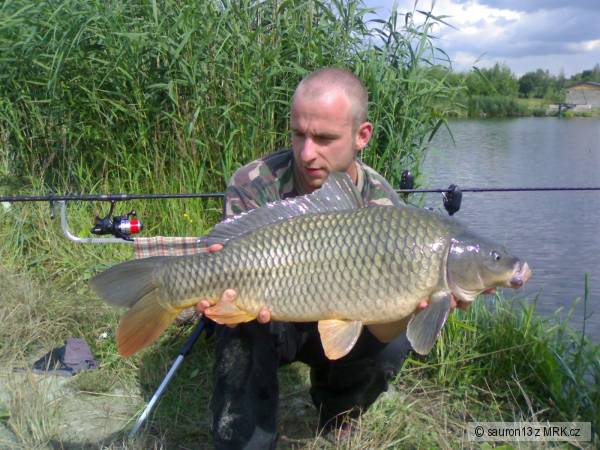 81cm nev�en