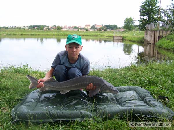 �erotice, Krb�lek L., Jeseter rusk� 115 cm