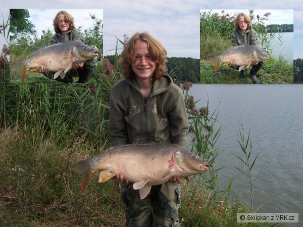 Kapr 80cm 9,5Kg