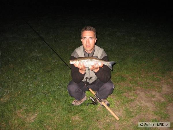 Tlou�� 51cm pot�il...