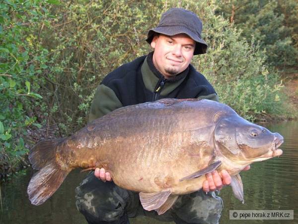 lysec 18kg