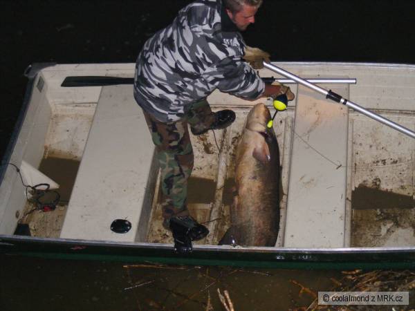 P�d It�lie