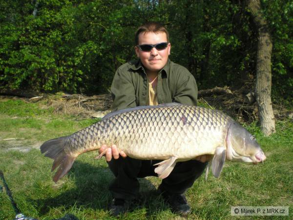 kapor-95cm a 14kg