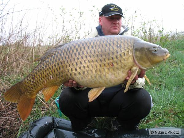 Nov� osob�k 97 cm, 17,2 kg