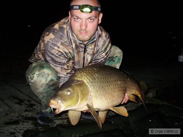 11,5kg 