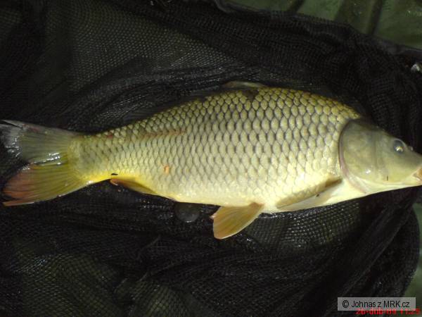 Feeder kap��ci