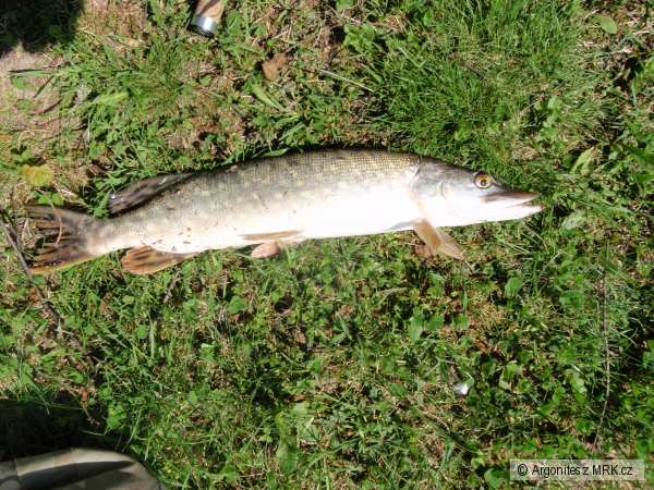 �tika 45cm