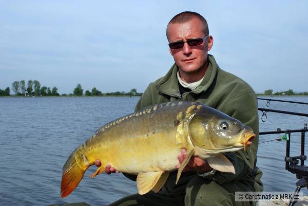 ADACS CARP 20099, prv� bodovan� kapor n�ho t�mu