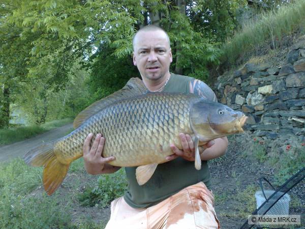 Labe-92cm,21kg