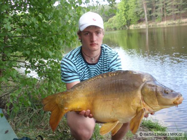 kysec 79cm, 9,5kg