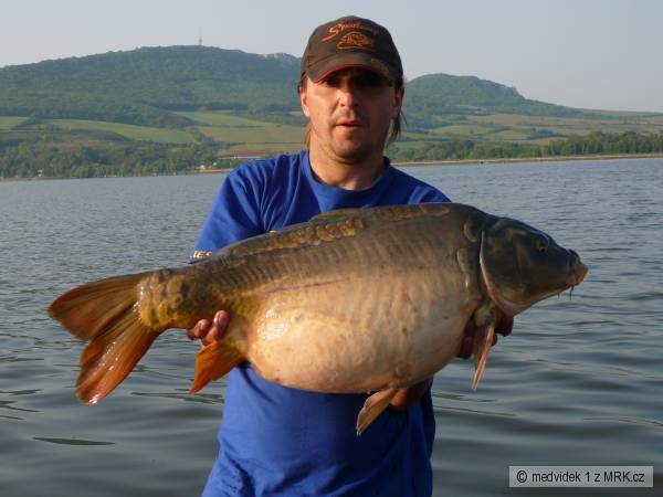 lysec D5 80cm a 10,5kg