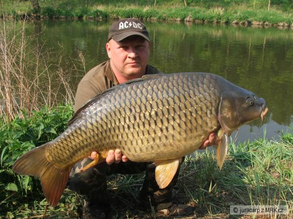 87cm 14.10 kg