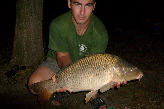 kapor5