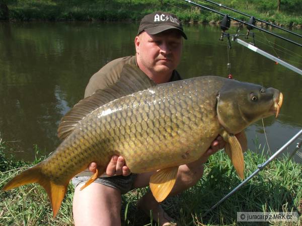 82cm 11.20 kg