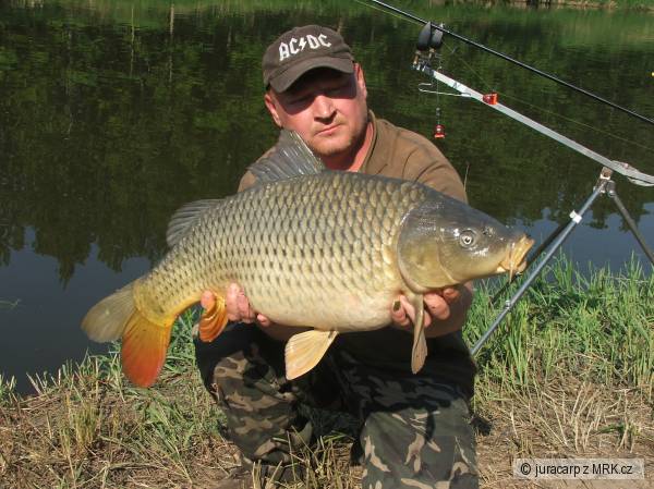 78cm 9.2kg