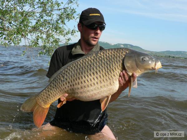 91cm 13,30kg