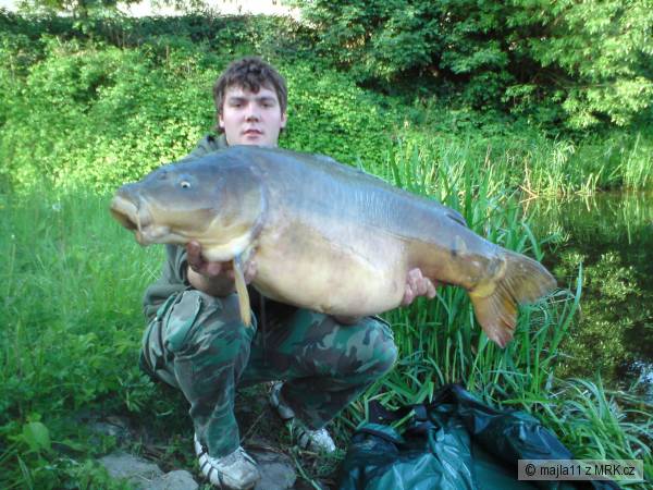 kapr 21kg