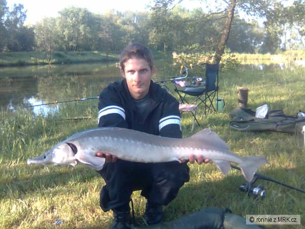 skalky 2009