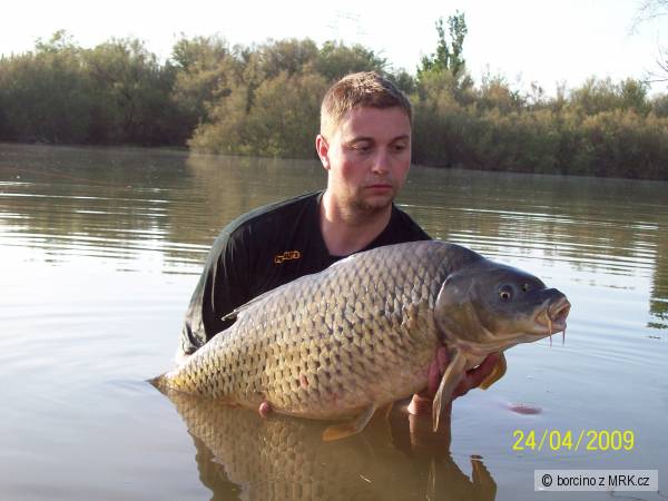�upi 93 cm