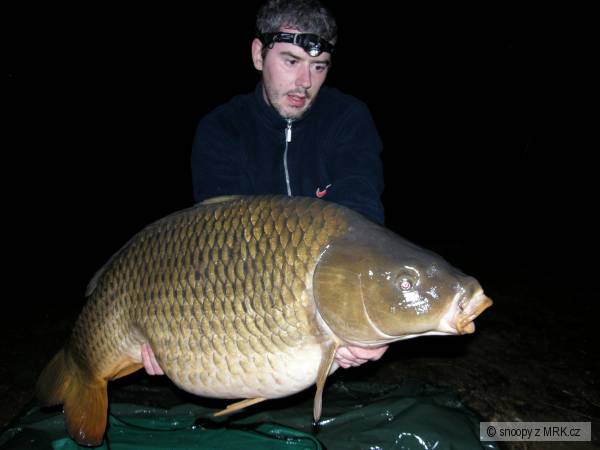 carp
