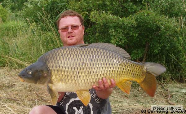 83cm 13kg