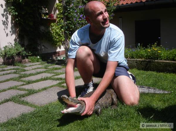 KROKOU�