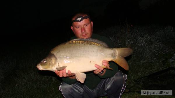 Kapr 60cm 5kg