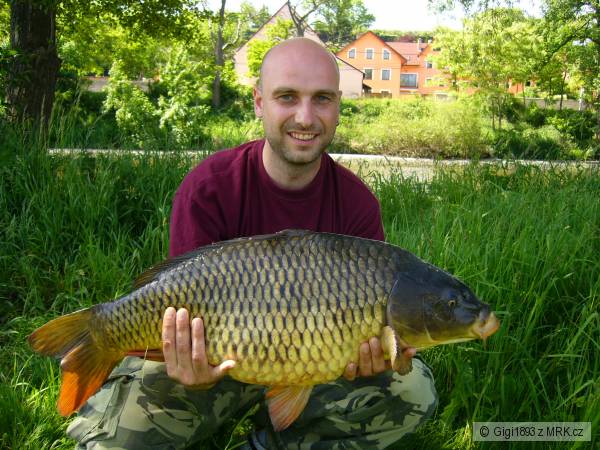 70cm 8kg 17.5.2009 Labe