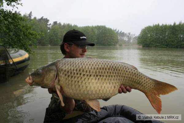 11,5 kg a 87 cm