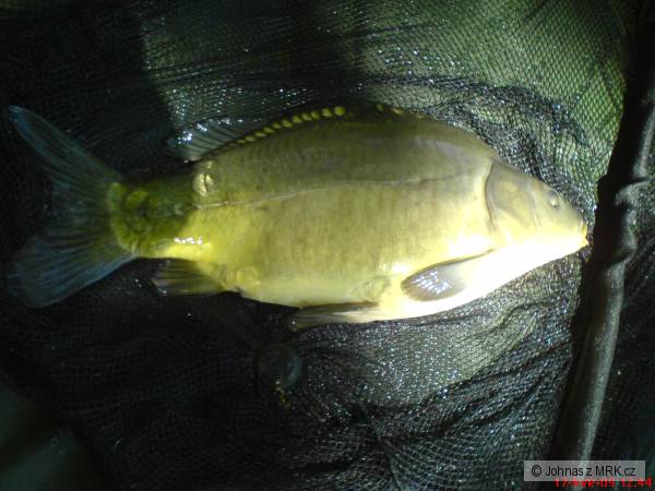 Feeder je feeder