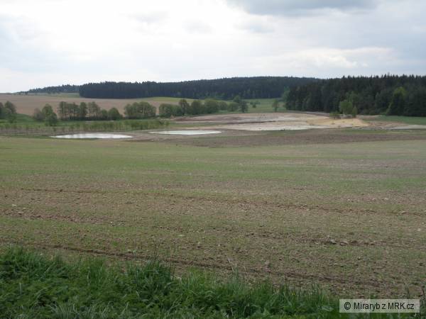budov�n� nov�ch rybn��k�