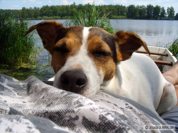 �ek�me na j�zdu