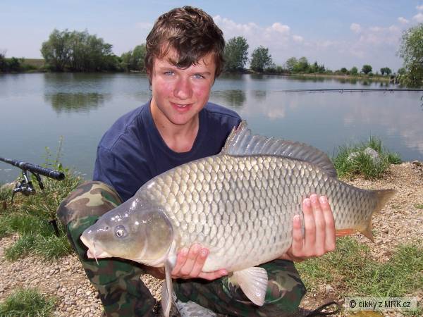 kaprik
