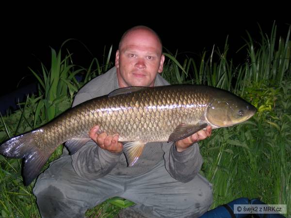 Labe 93 cm