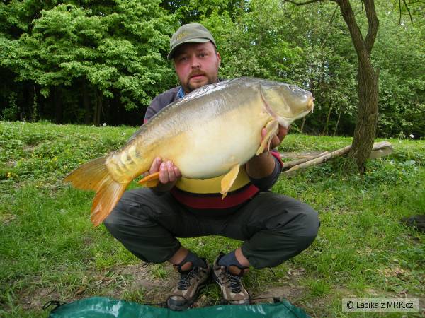 Lysec 81cm-10,90kg