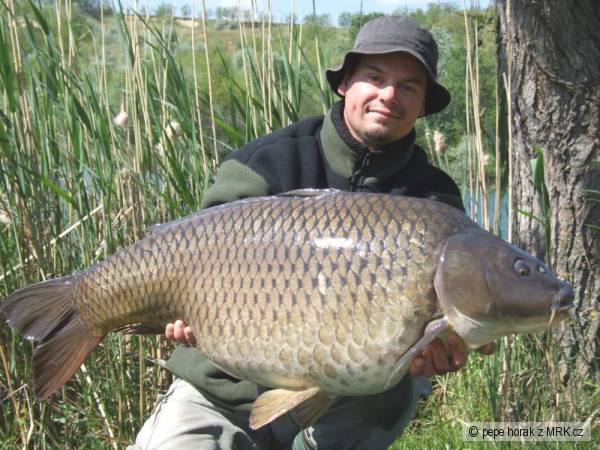 �up�k 19,5kg