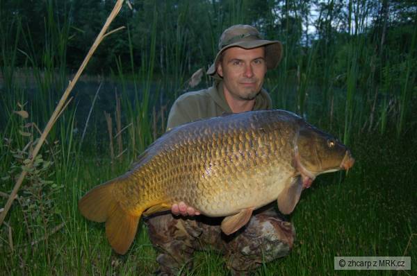 11.20 kg