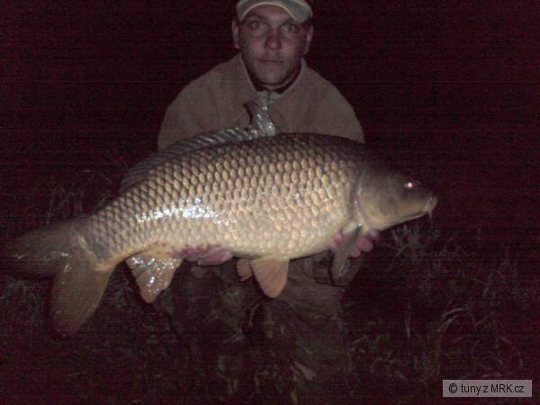 78cm 8kg