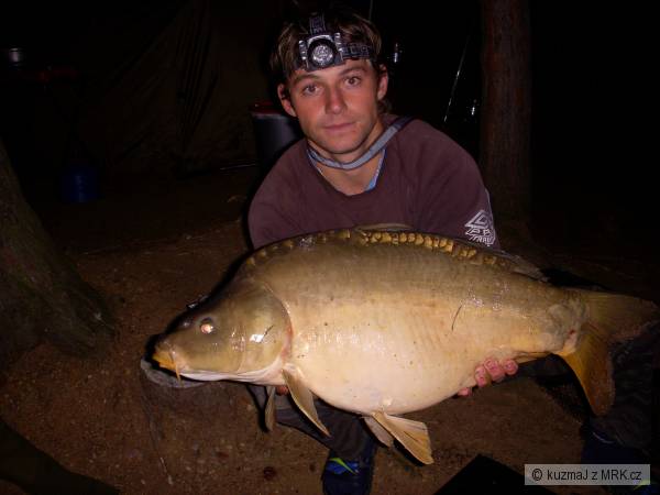 kapr 75 cm 11 kilo
