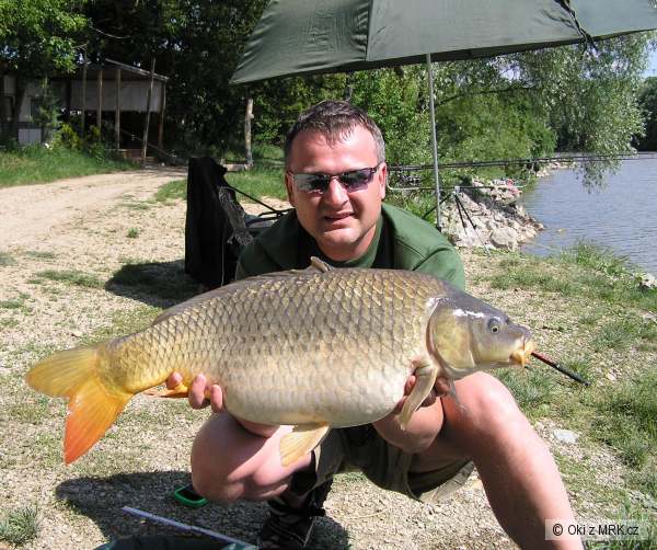 Kapr 72-9.5kg