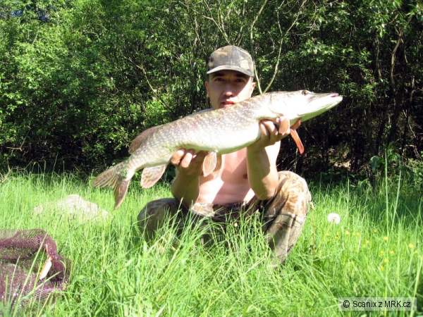 Dal�� kudla rovn�ch 80cm