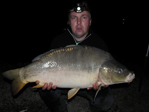 Kapr 79cm 11.5kg