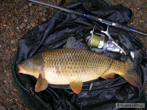 Kapor4,5kg