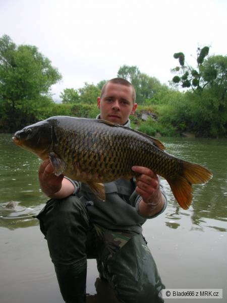 kapor 6kg